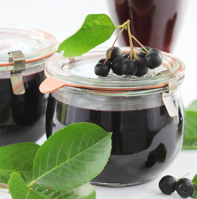 Аронія чорноплідна