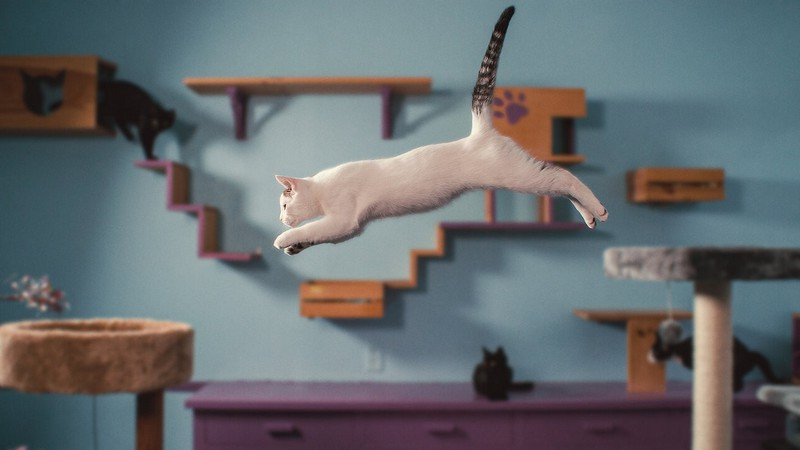 11. Про що думають коти (Inside the Mind of a Cat, 2022)