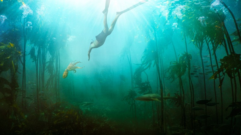 12. Мій учитель восьминіг (My Octopus Teacher, 2020)