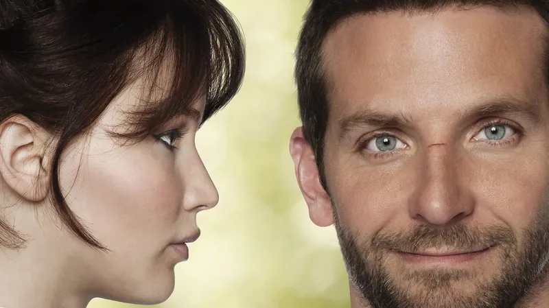 23. Збірка промінців надії (Silver Linings Playbook, 2012)
