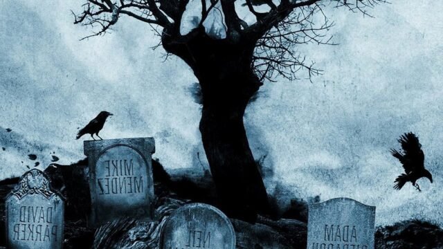 19 найкращих фільмів