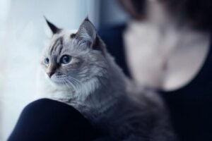 Докучливі паразити