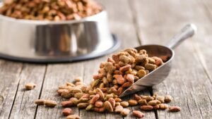 Корм для собак преміум класу: що робить його кращим за стандартні варіанти?