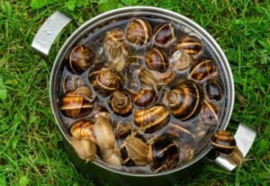 Як приготувати виноградних равликів?