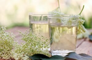 Квас з бузини: детальний рецепт на 10 літрів